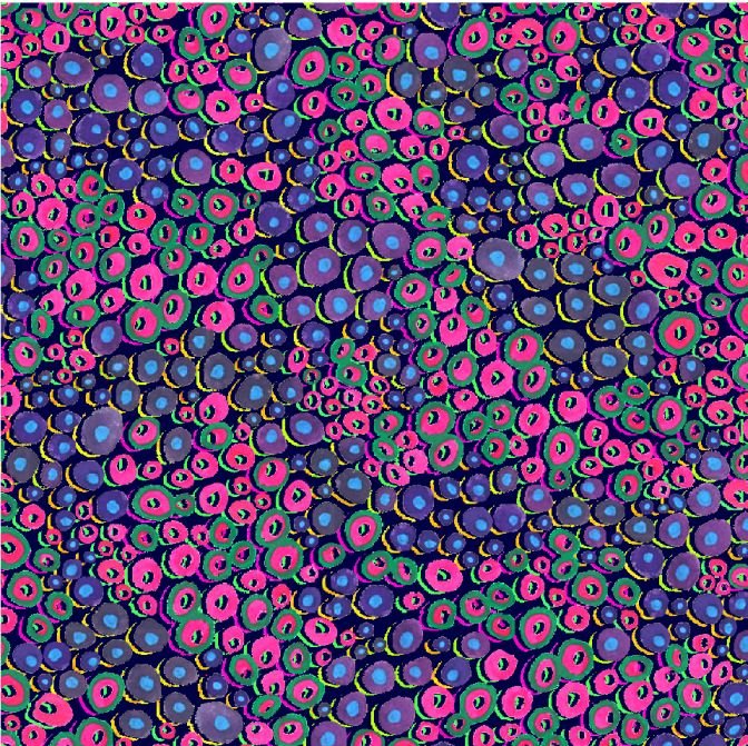 Oasis Fabrics - Night Bloom - Fleurs à pois - Tissu noir 59-5511