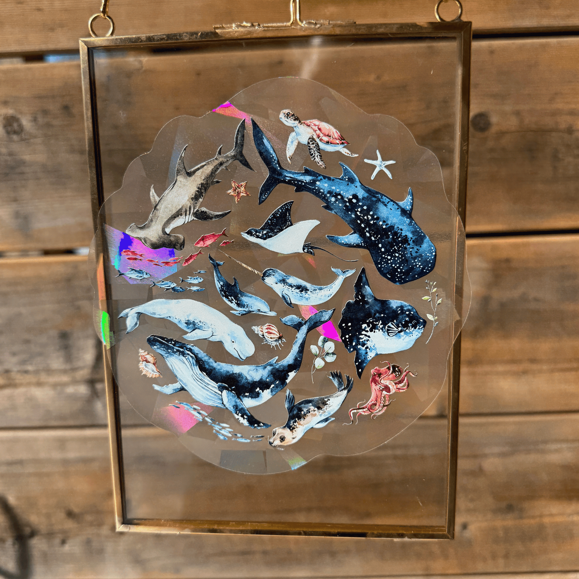 Deep Sea Suncatcher Sticker