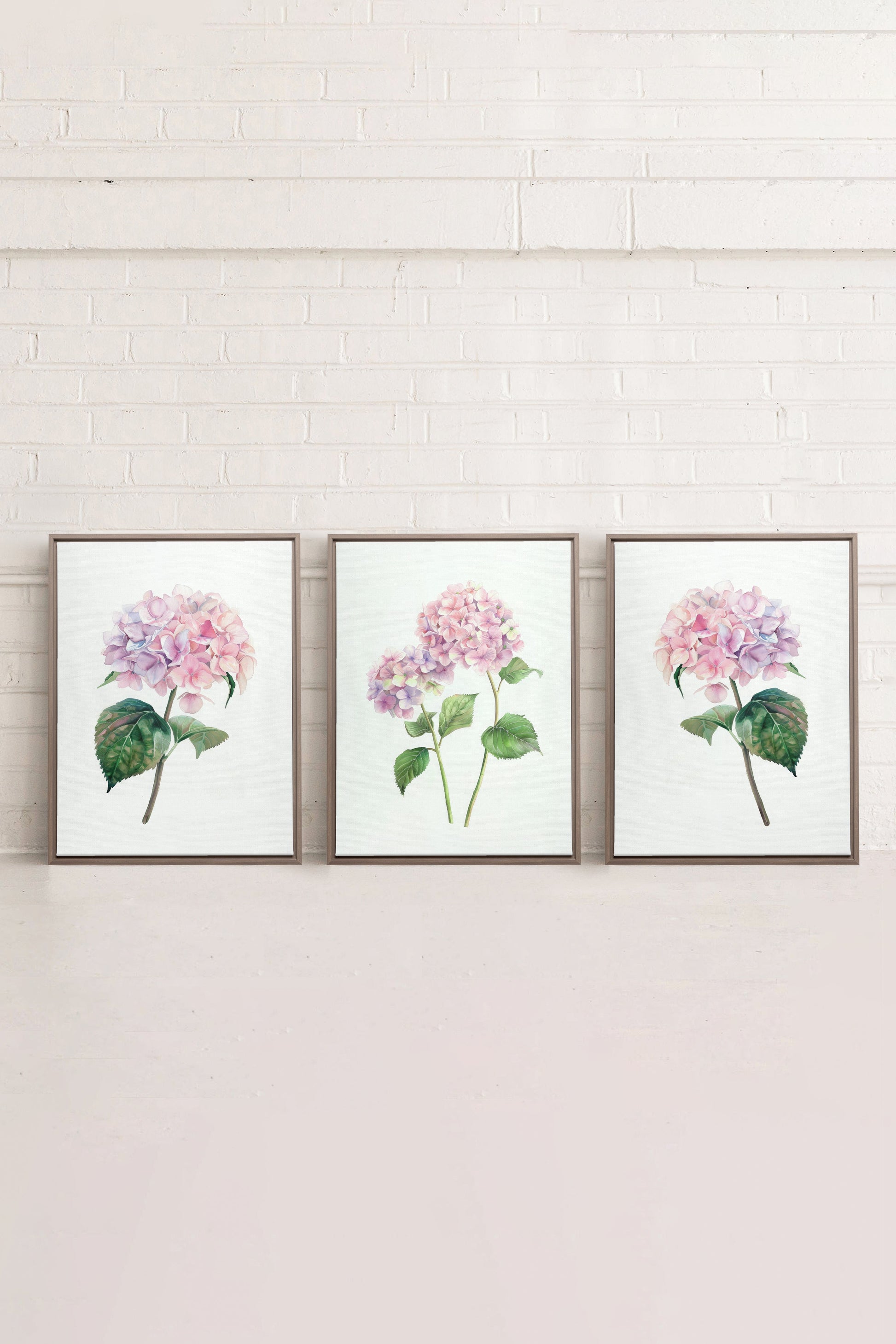 BLOSSOMING TRIO (3 Works on Stretched Canvas)