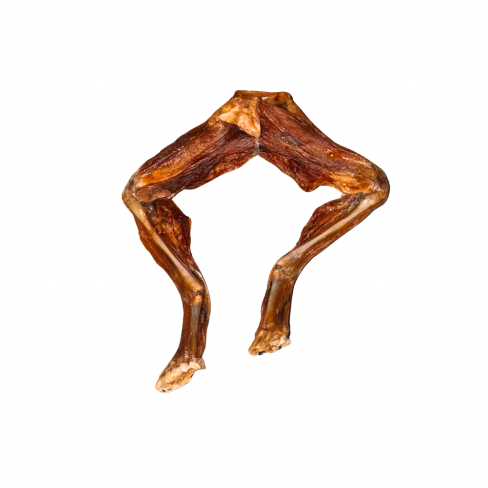 Cuisses de grenouilles