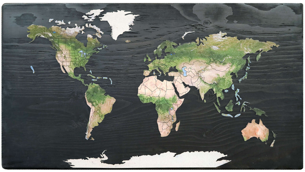 Geo Optic Push Pin Map | 24 x 14