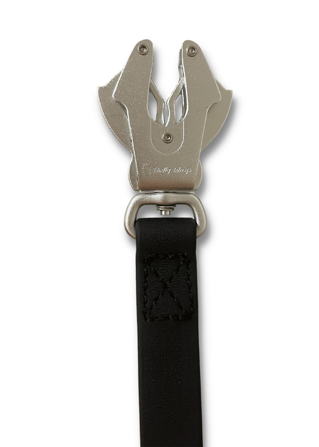 Laisse pour chien en PVC imperméable