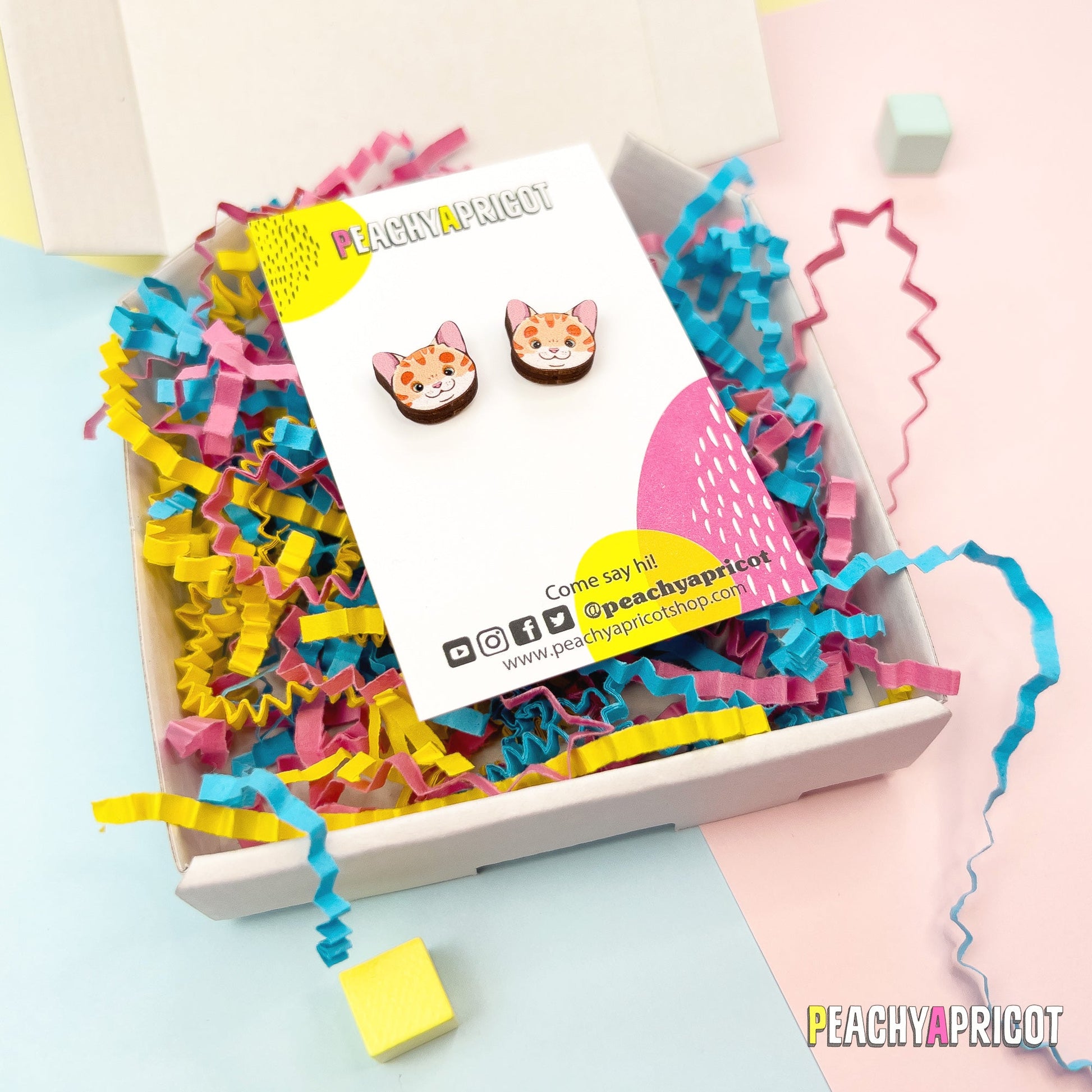 Boucles d'oreilles chat - Gingembre