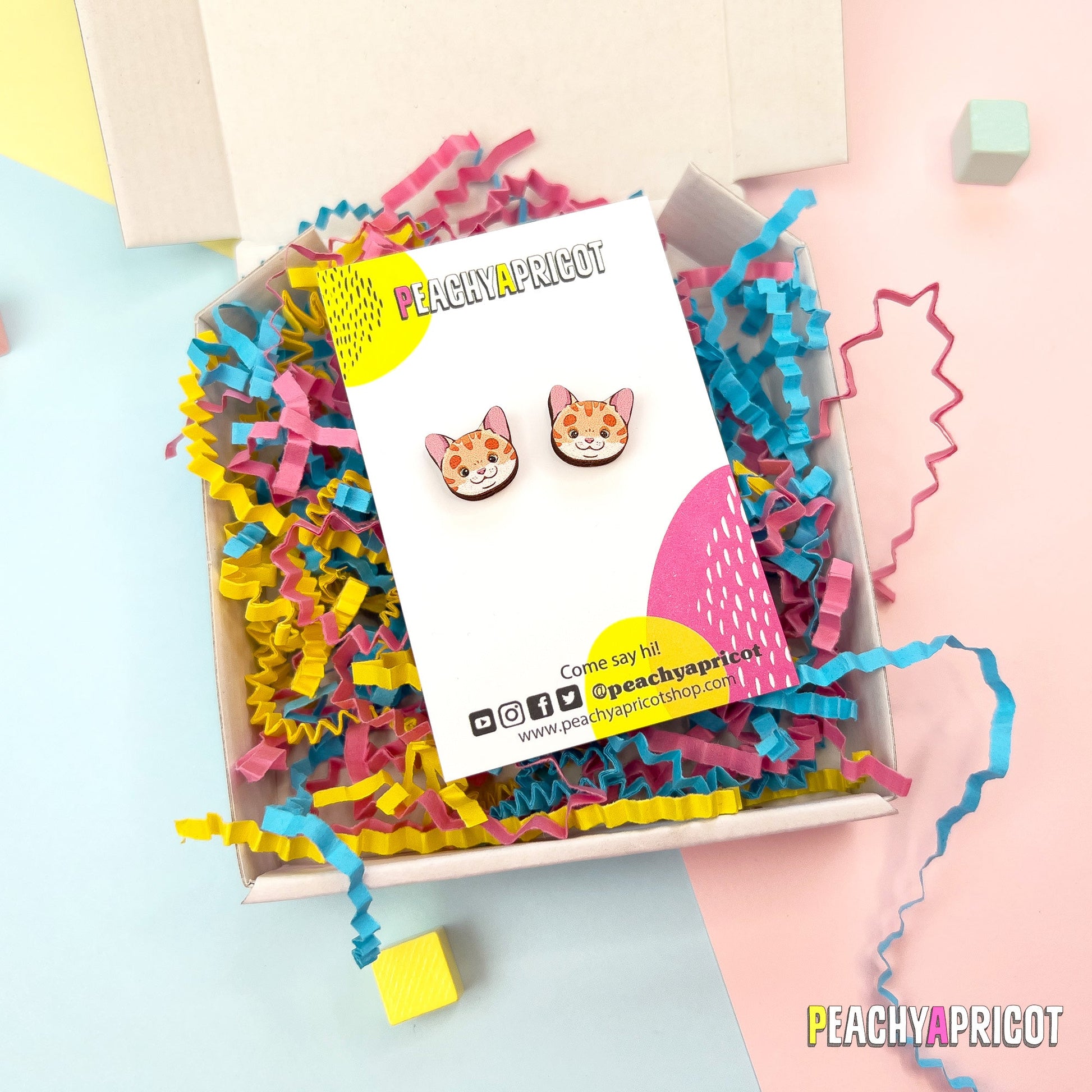 Boucles d'oreilles chat - Gingembre