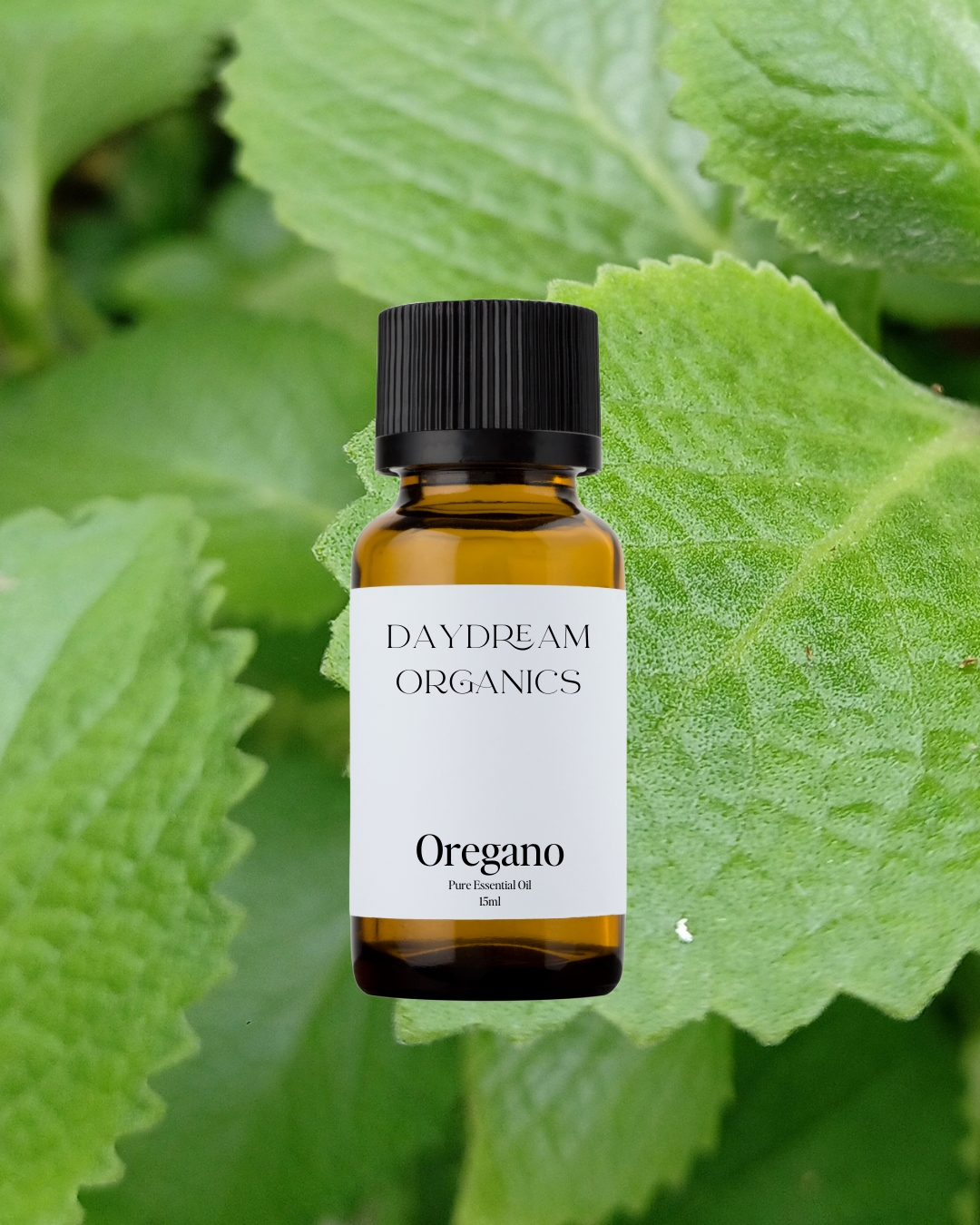 Oregano Essential Oil