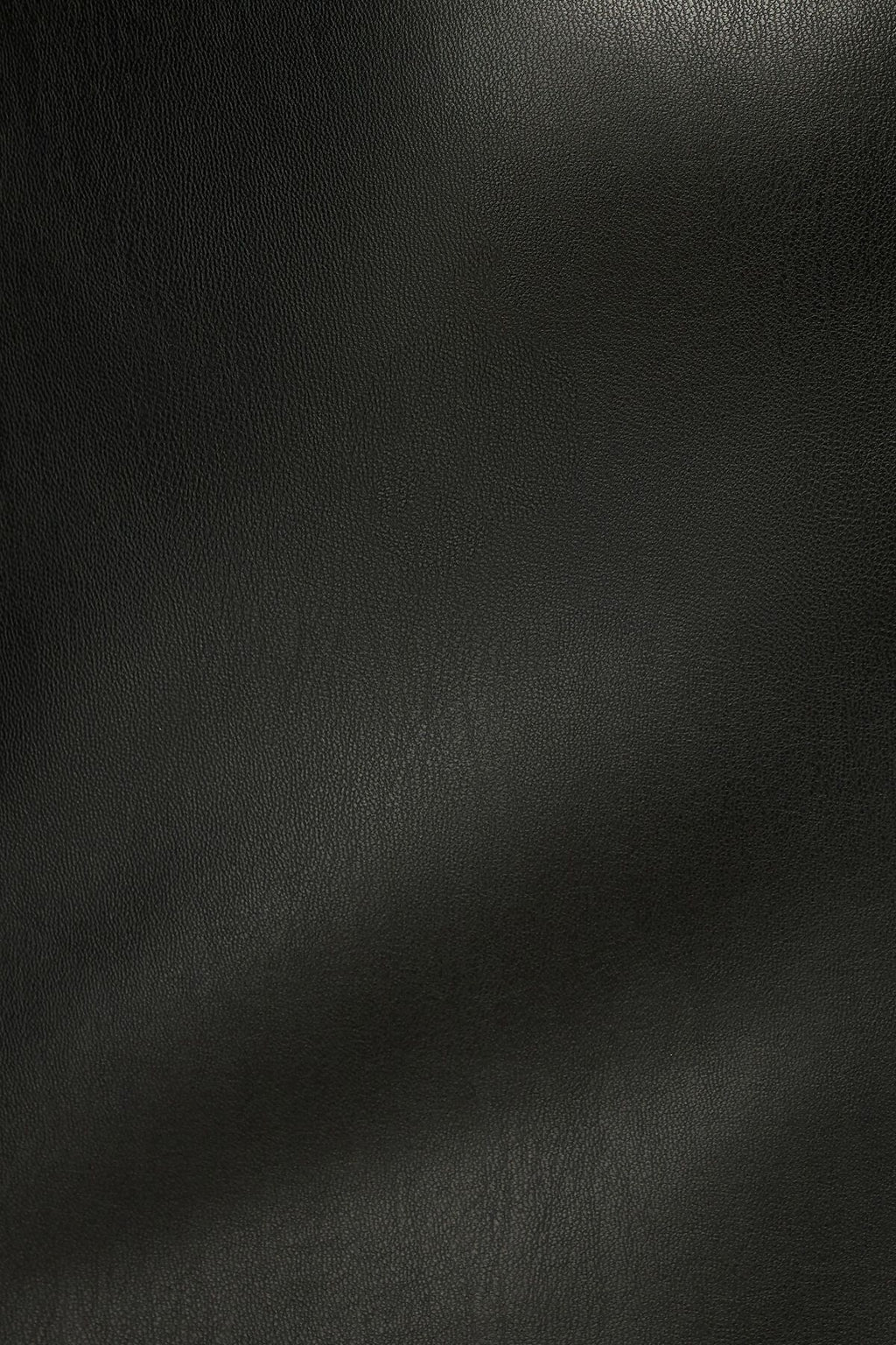 Kylie Faux Leather Mini Skirt