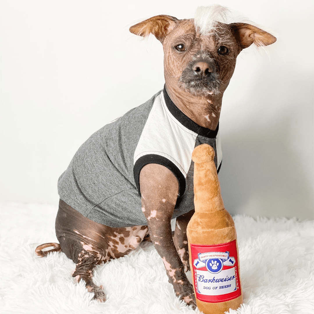 Jouet pour chien Barkweiser 