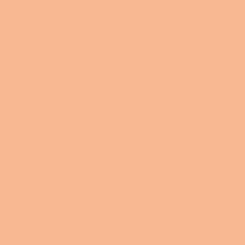 Solides Signature AGF ; Crevettes