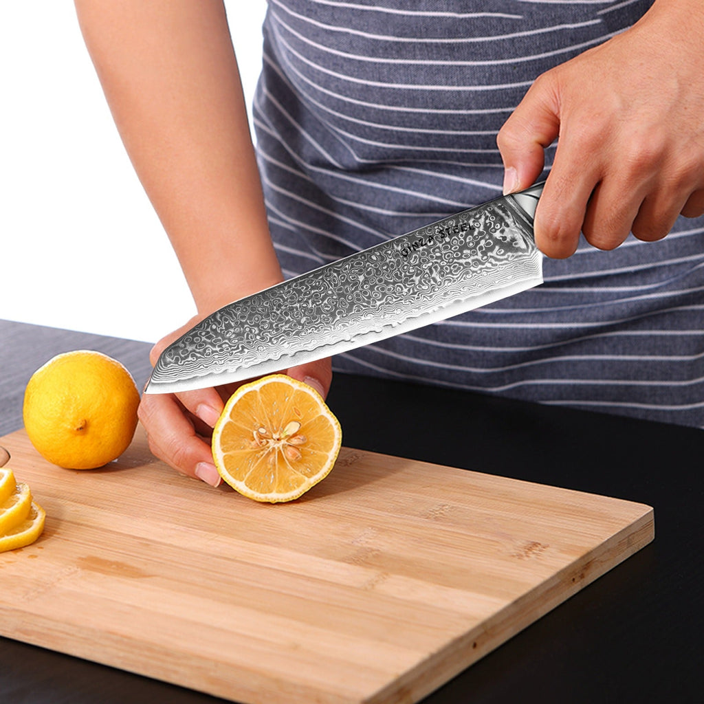 HAGAKURE 20 | Japanese Santoku Knife 8" - 67 Layer VG10 Steel