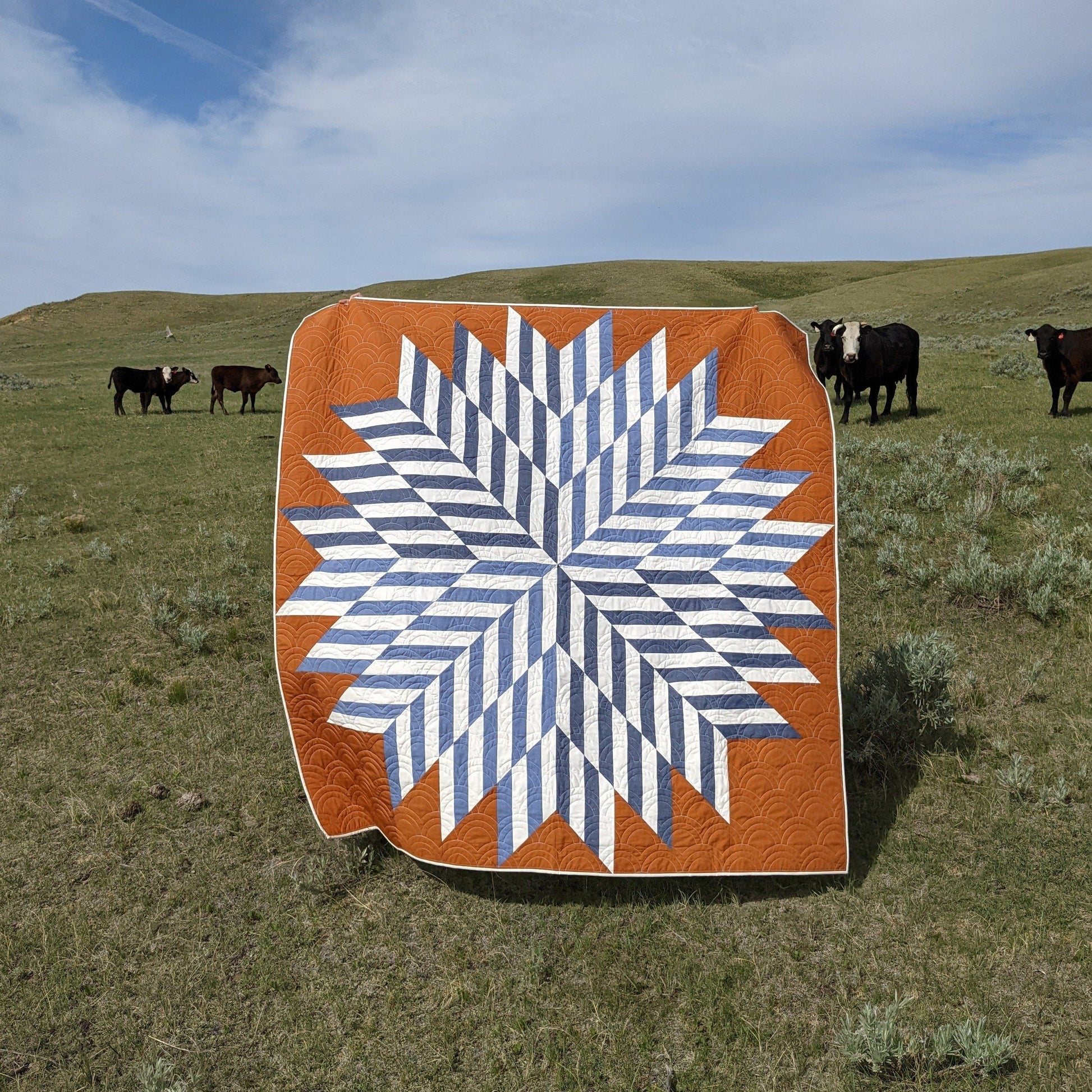 Commonwealth Star Quilt Kit - Cover Version