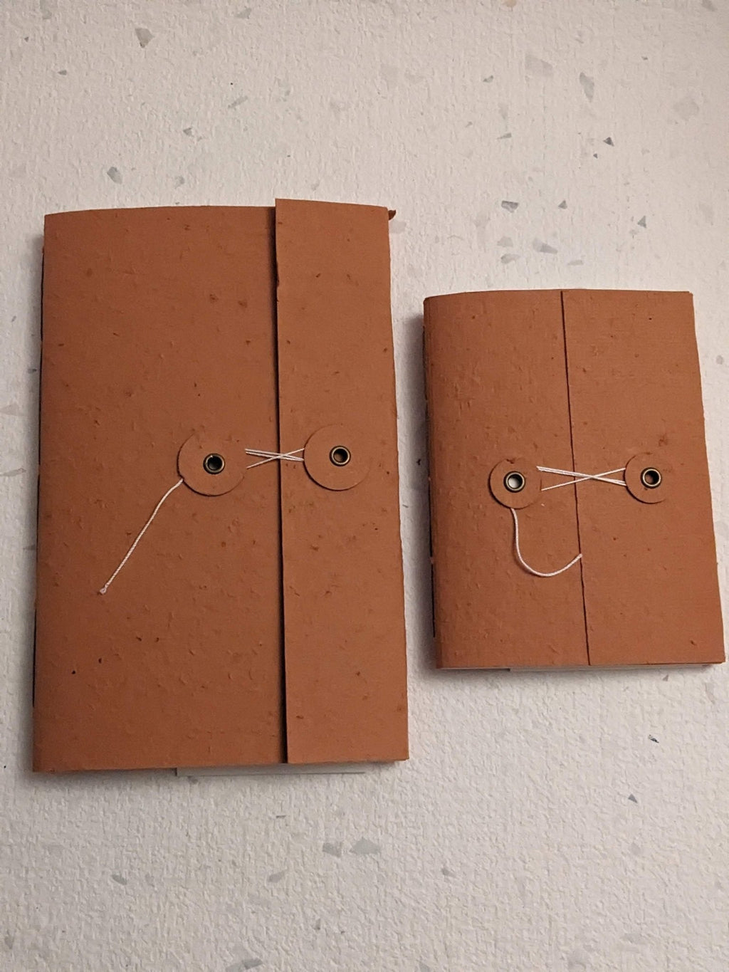 Large | Plantable Button and String Notebook