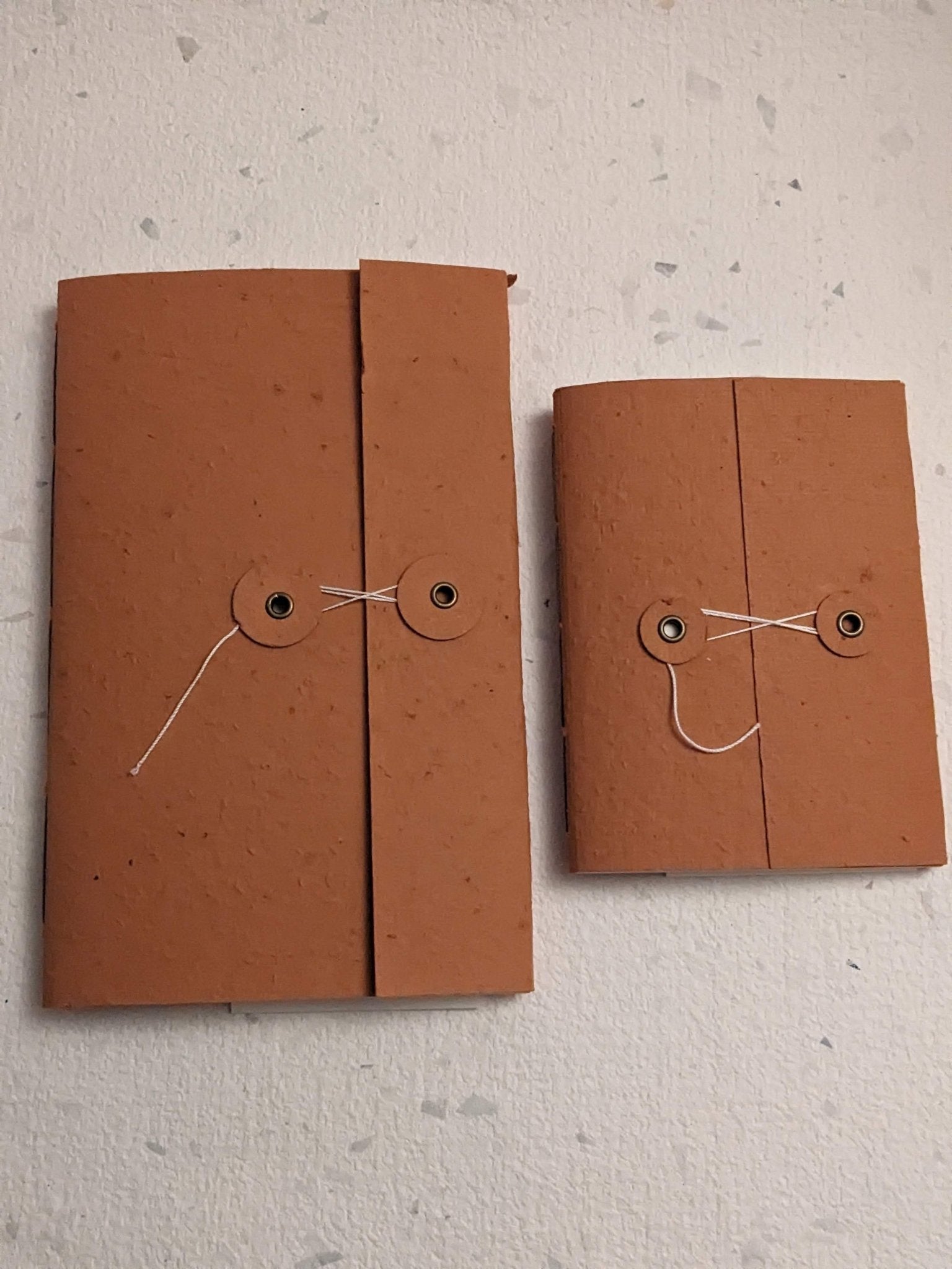 Large | Plantable Button and String Notebook