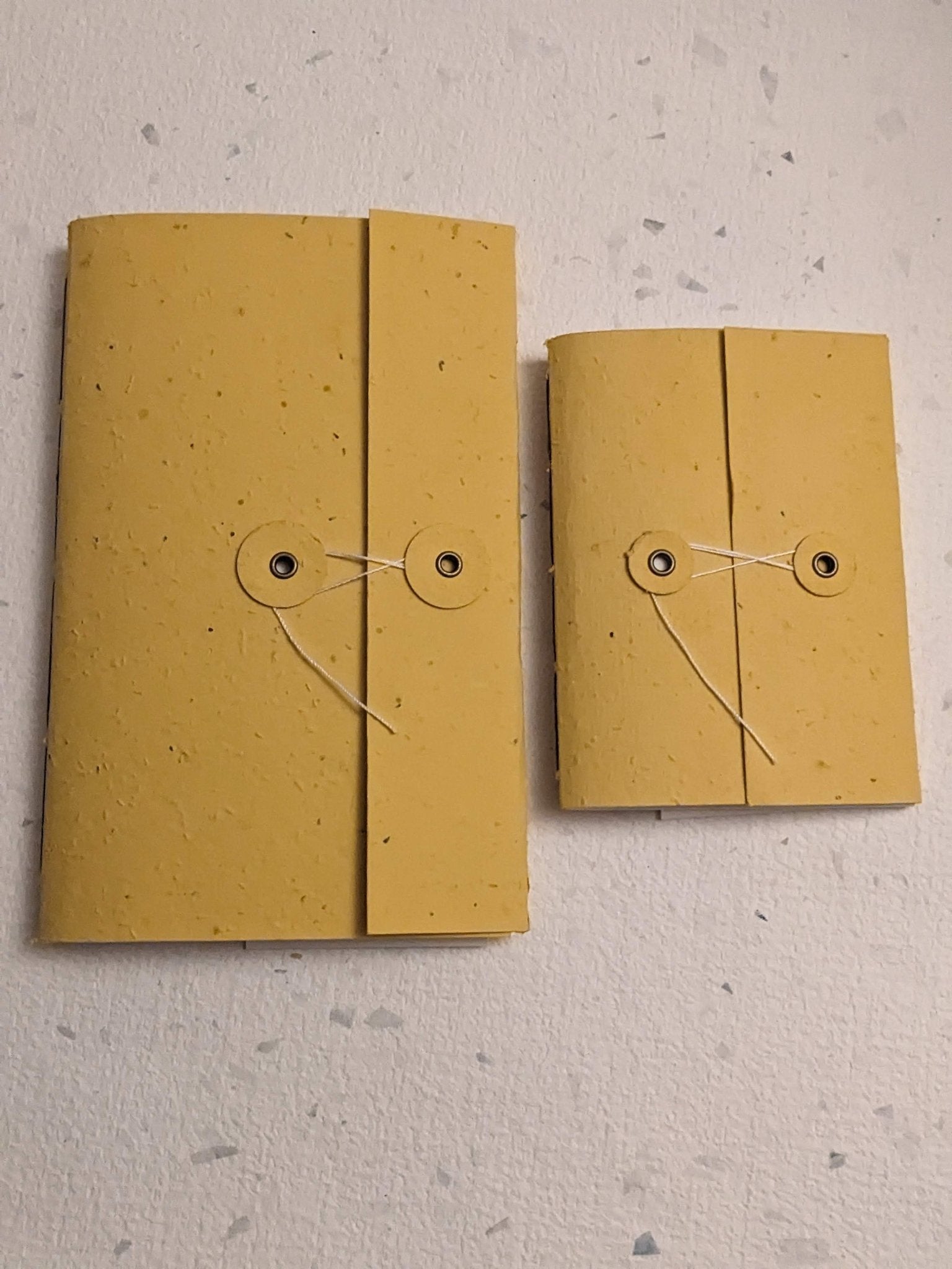 Large | Plantable Button and String Notebook