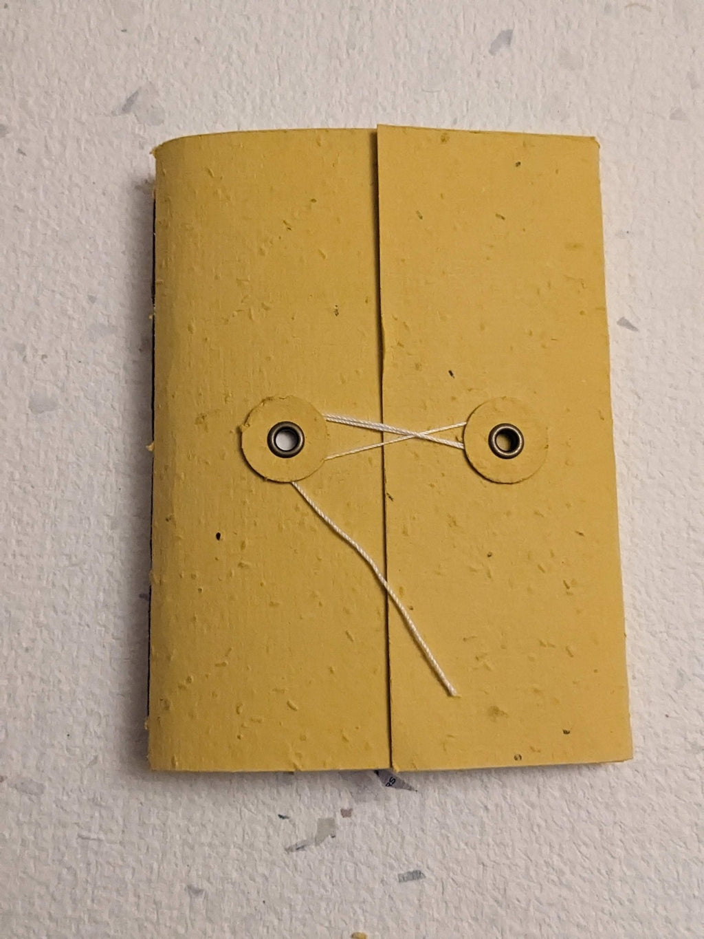 Pocket | Plantable Button and String Notebook