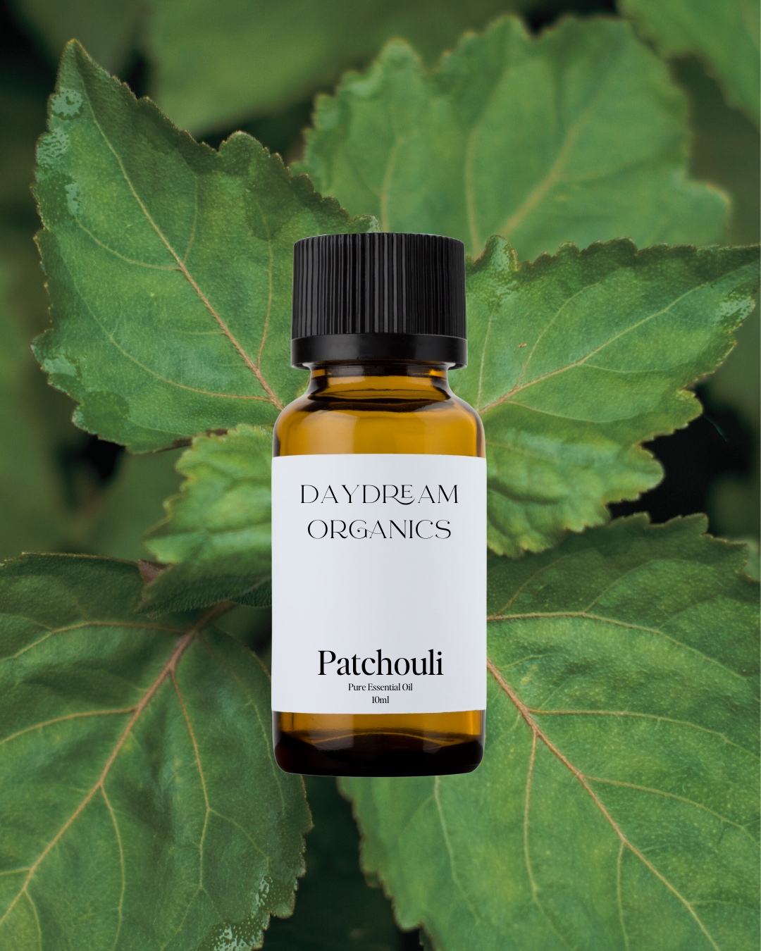 Patchouli Essential Oil
