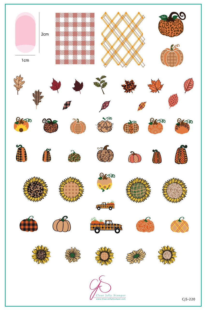 Clear Jelly Stamper - Patterned Pumpkins