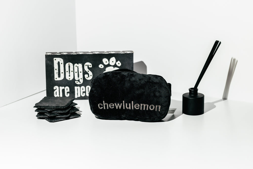 NOUVEAU ÉDITION LIMITÉE Sac à mâcher écologique Pawty Animals au citron - Jouet pour chien