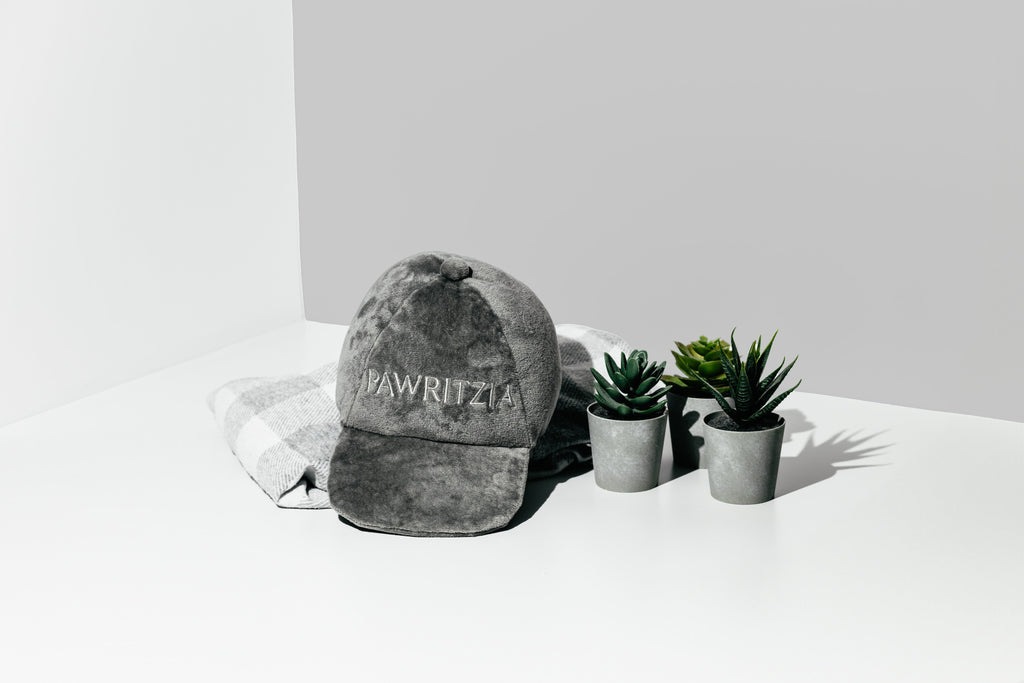 NOUVEAU ÉDITION LIMITÉE Chapeau Pawritzia écologique Pawty Animals - Jouet pour chien