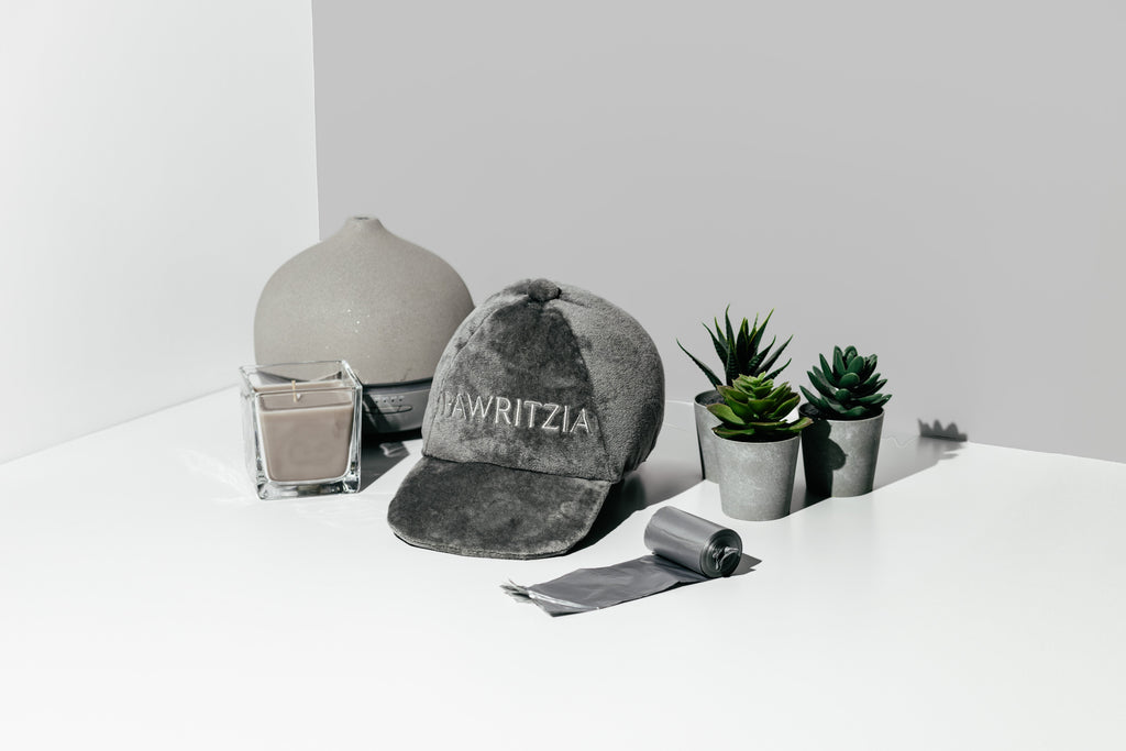 NOUVEAU ÉDITION LIMITÉE Chapeau Pawritzia écologique Pawty Animals - Jouet pour chien