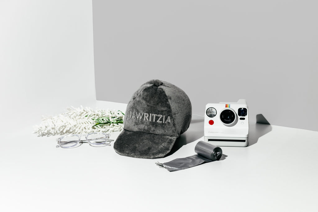 NOUVEAU ÉDITION LIMITÉE Chapeau Pawritzia écologique Pawty Animals - Jouet pour chien