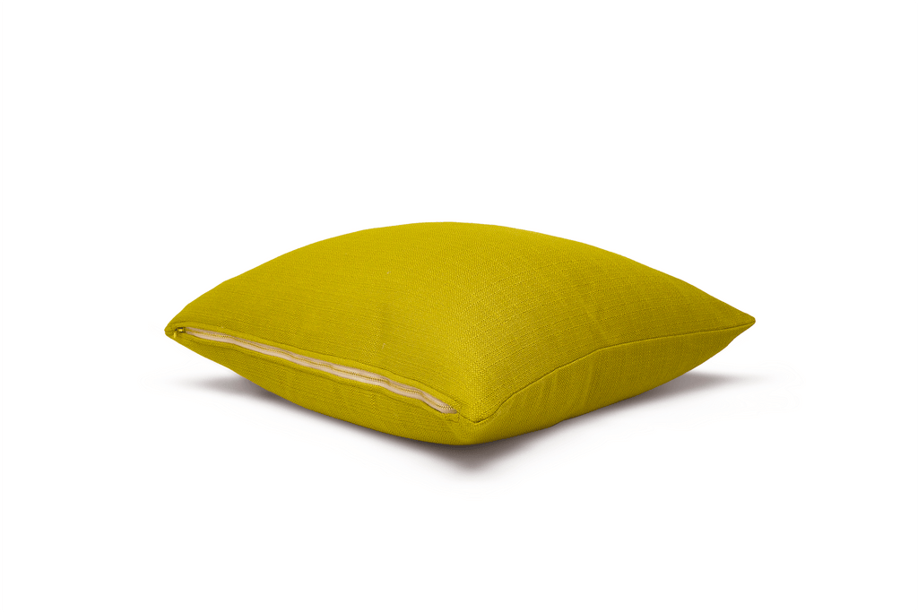 Housse de coussin pomme verte