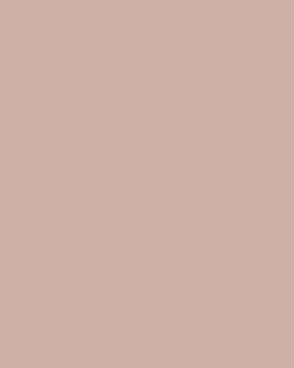 The Paint Factory - Peony