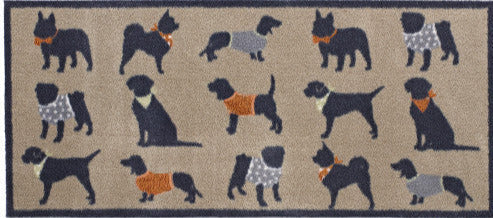 Pet 61 Runner