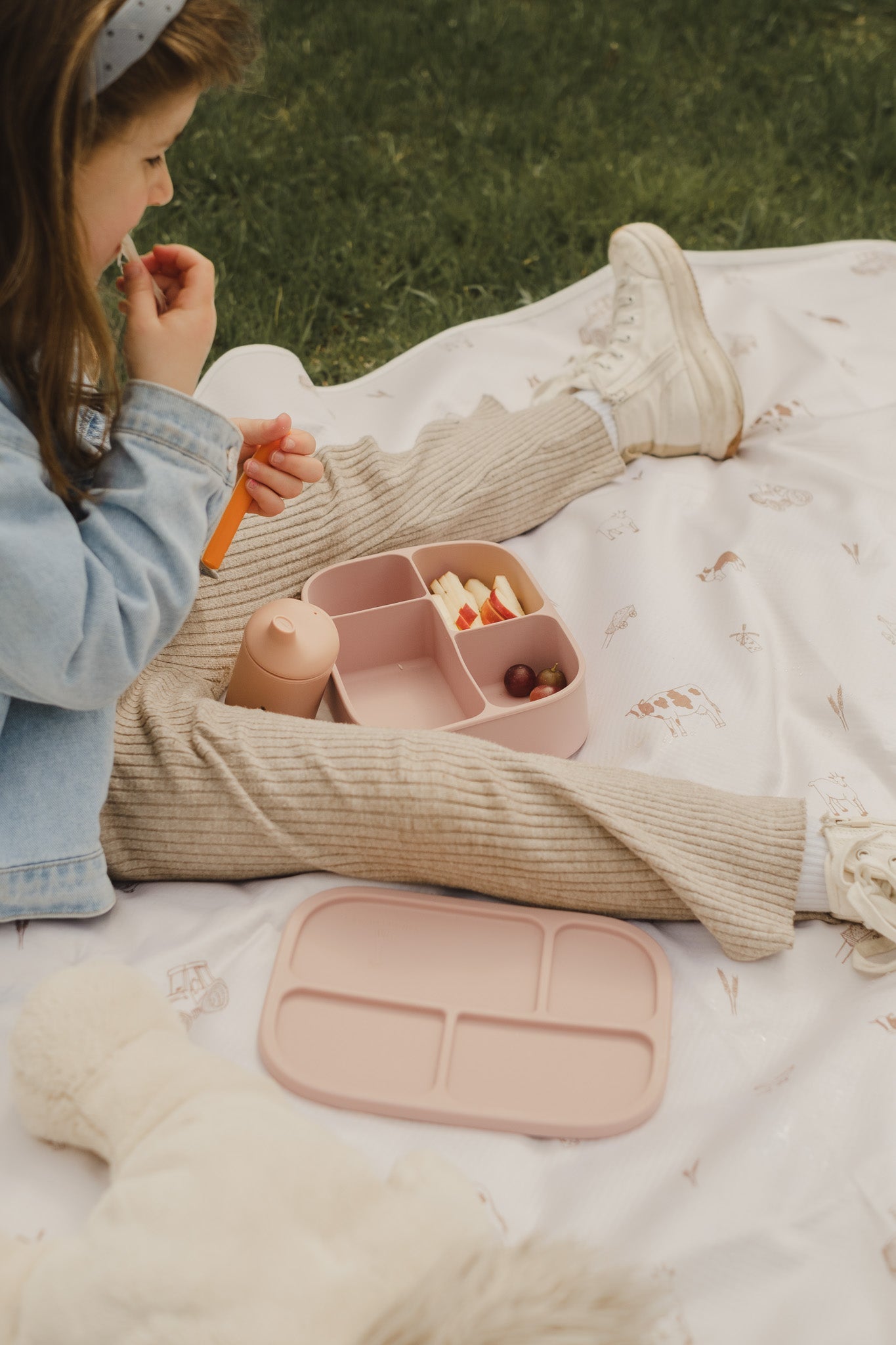 Silicone Bento Lunch Box