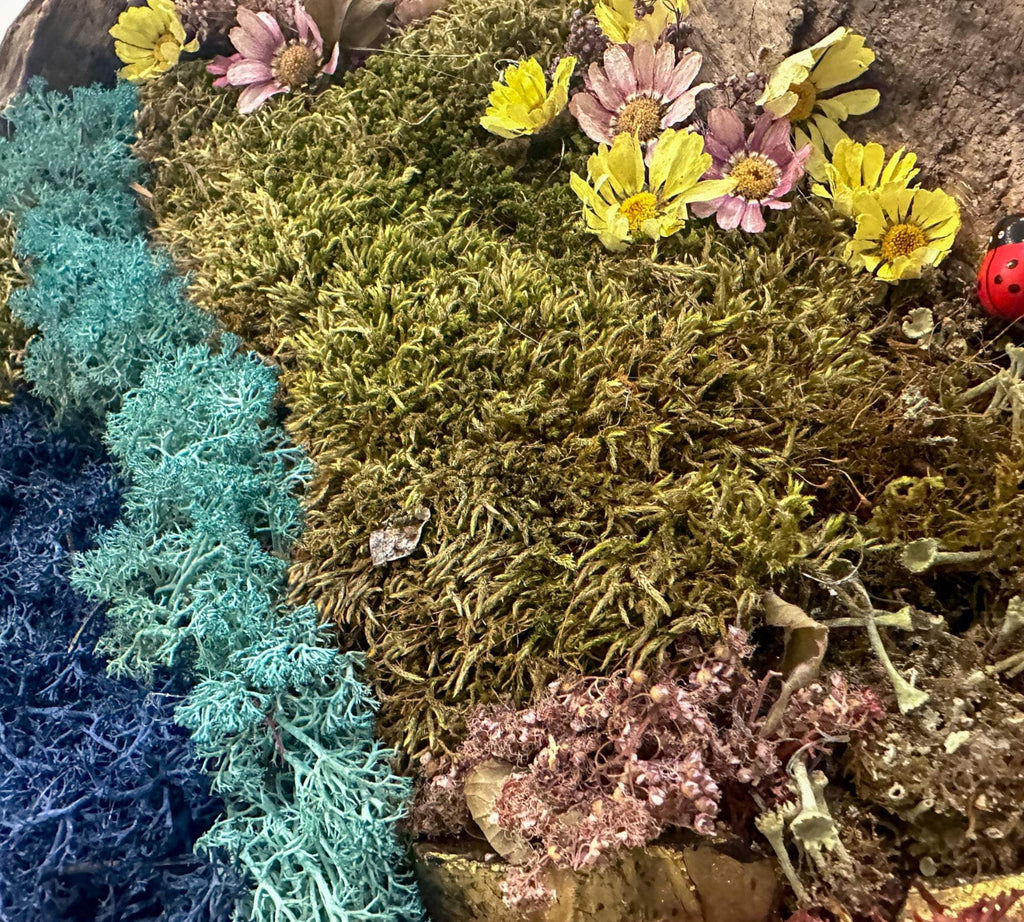 Moss Art : Décoration murale ronde en bois de 40 cm avec bois flotté et marguerites séchées