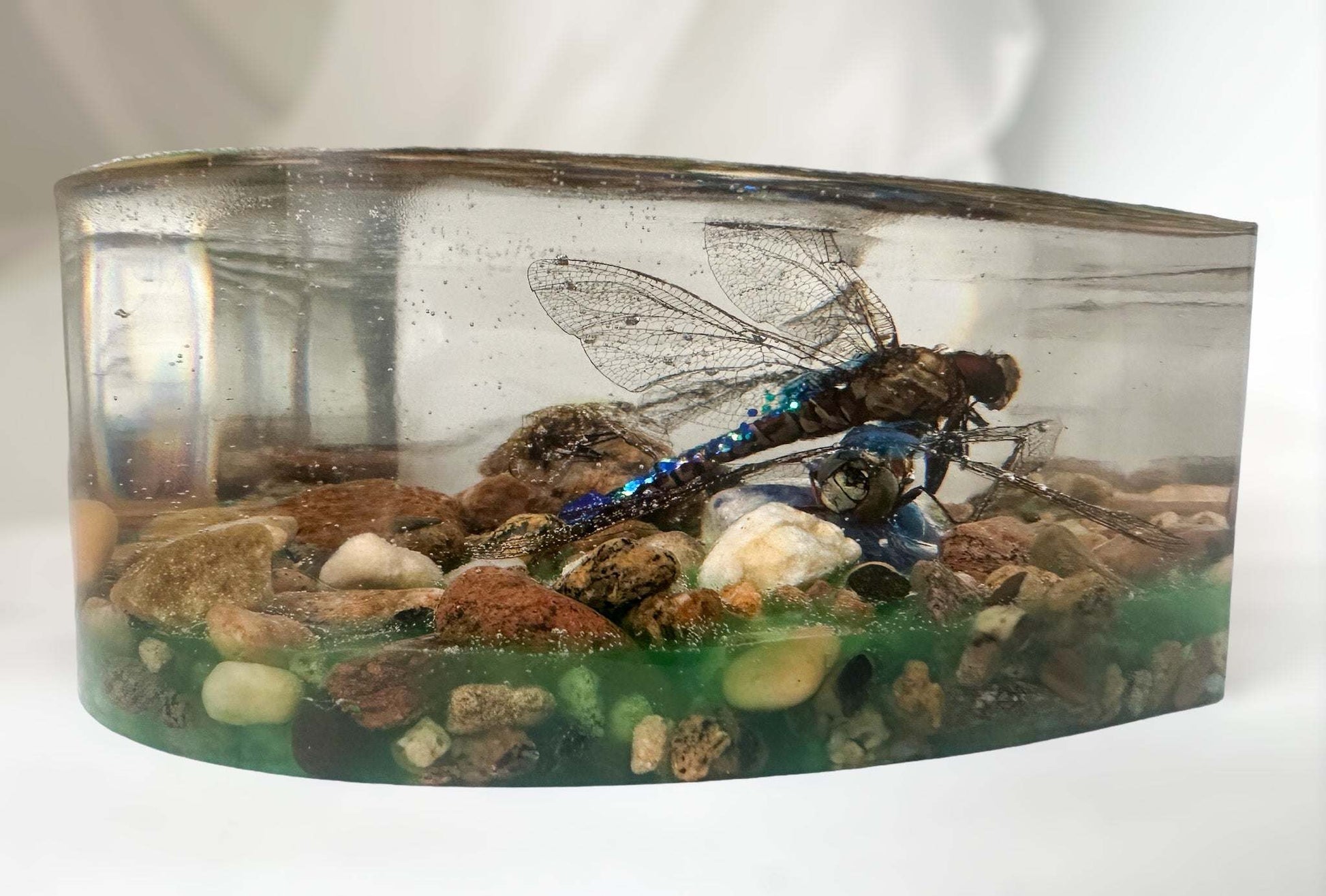 Cœur de libellule – Décoration d'intérieur faite main inspirée de la nature