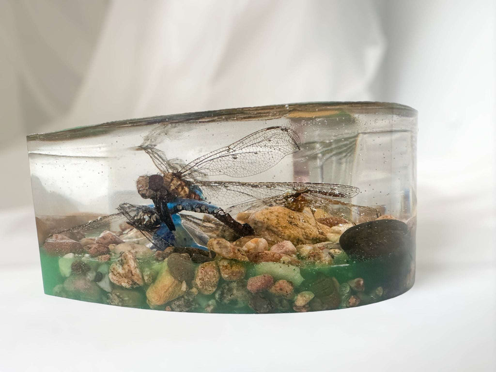 Cœur de libellule – Décoration d'intérieur faite main inspirée de la nature