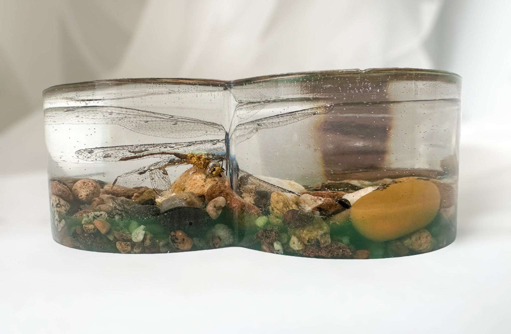 Cœur de libellule – Décoration d'intérieur faite main inspirée de la nature