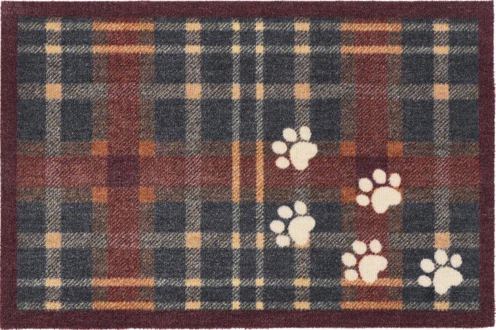 Plaid Paws
