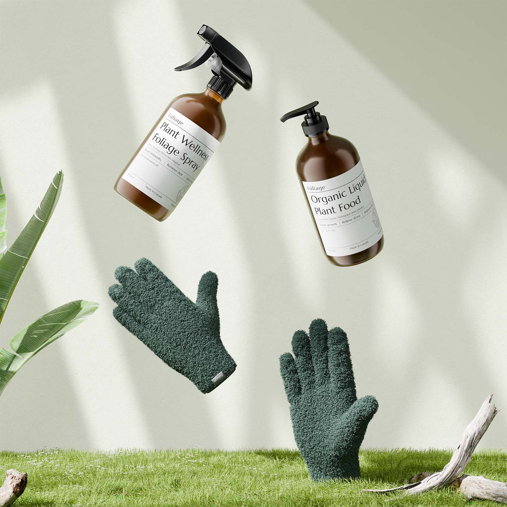 Trio complet pour l'entretien des plantes