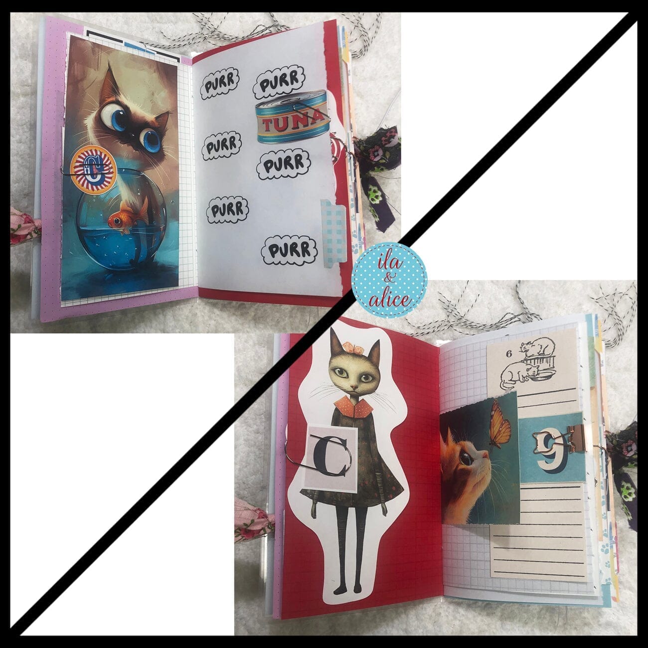 Journal intime avec un joli chat orange dans un pré