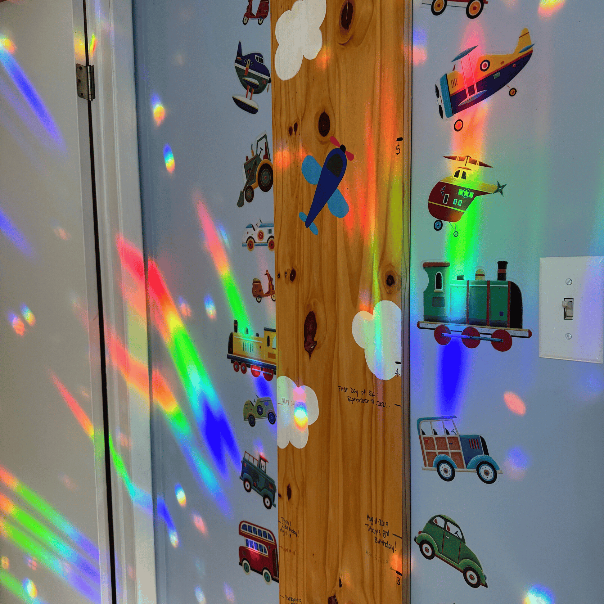 Midnight Sprout Suncatcher Sticker