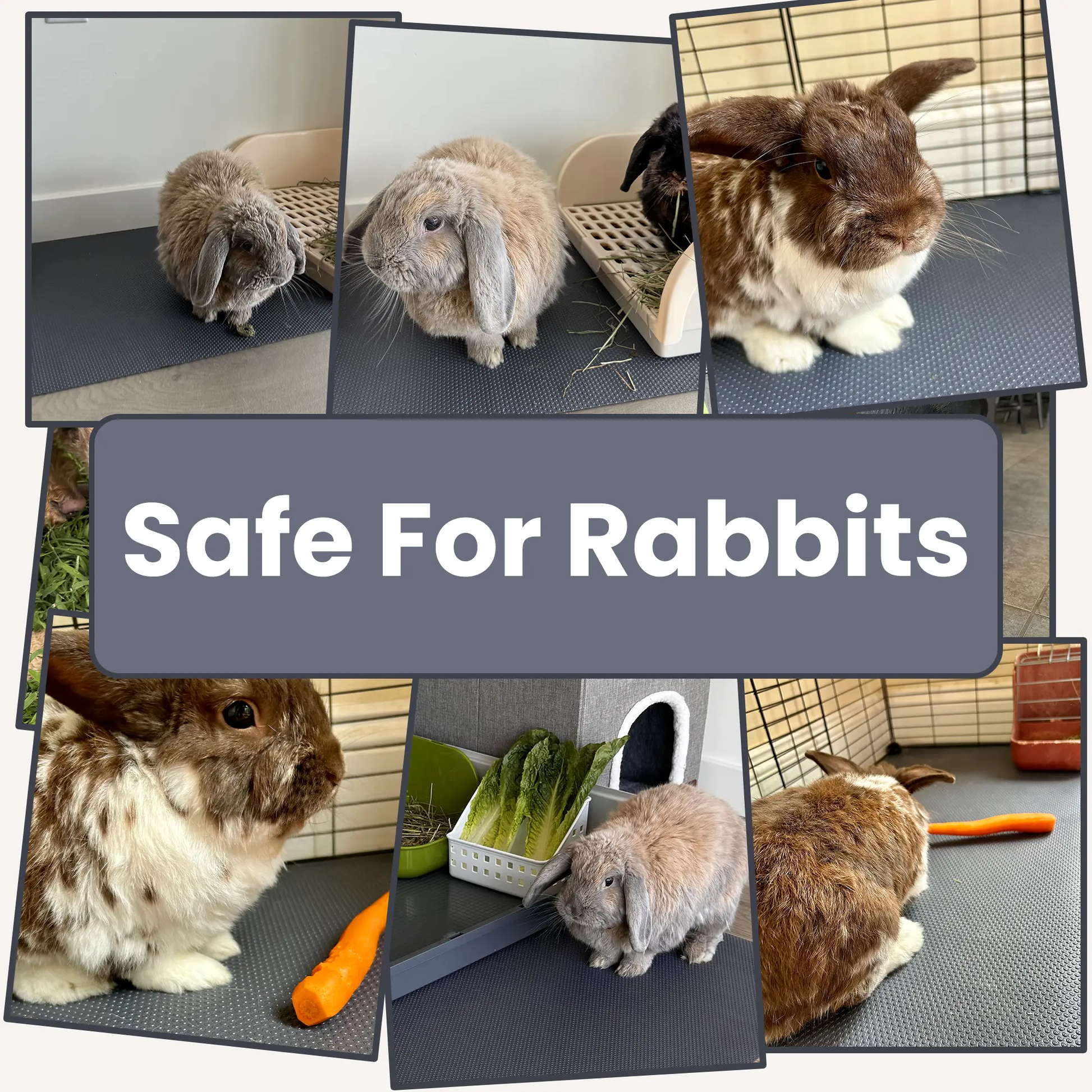 Versatile EVA Cage Liner – Rabbit, Guinea Pig & Reptile Mat, Easily Cut , 18"×79" LUFTPETS