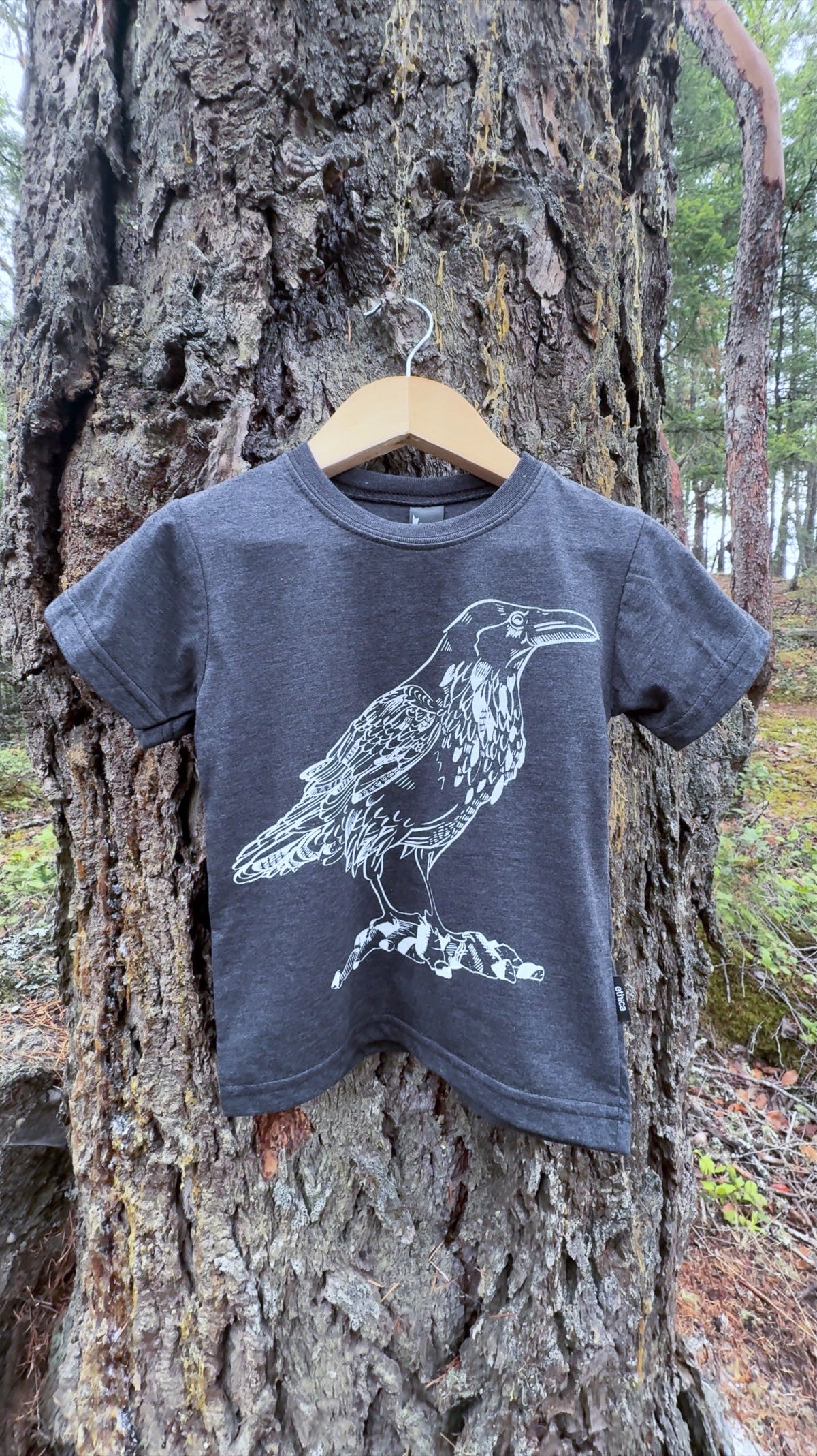 LITTLE RAVEN - Kids Eco Tee - Charcoal