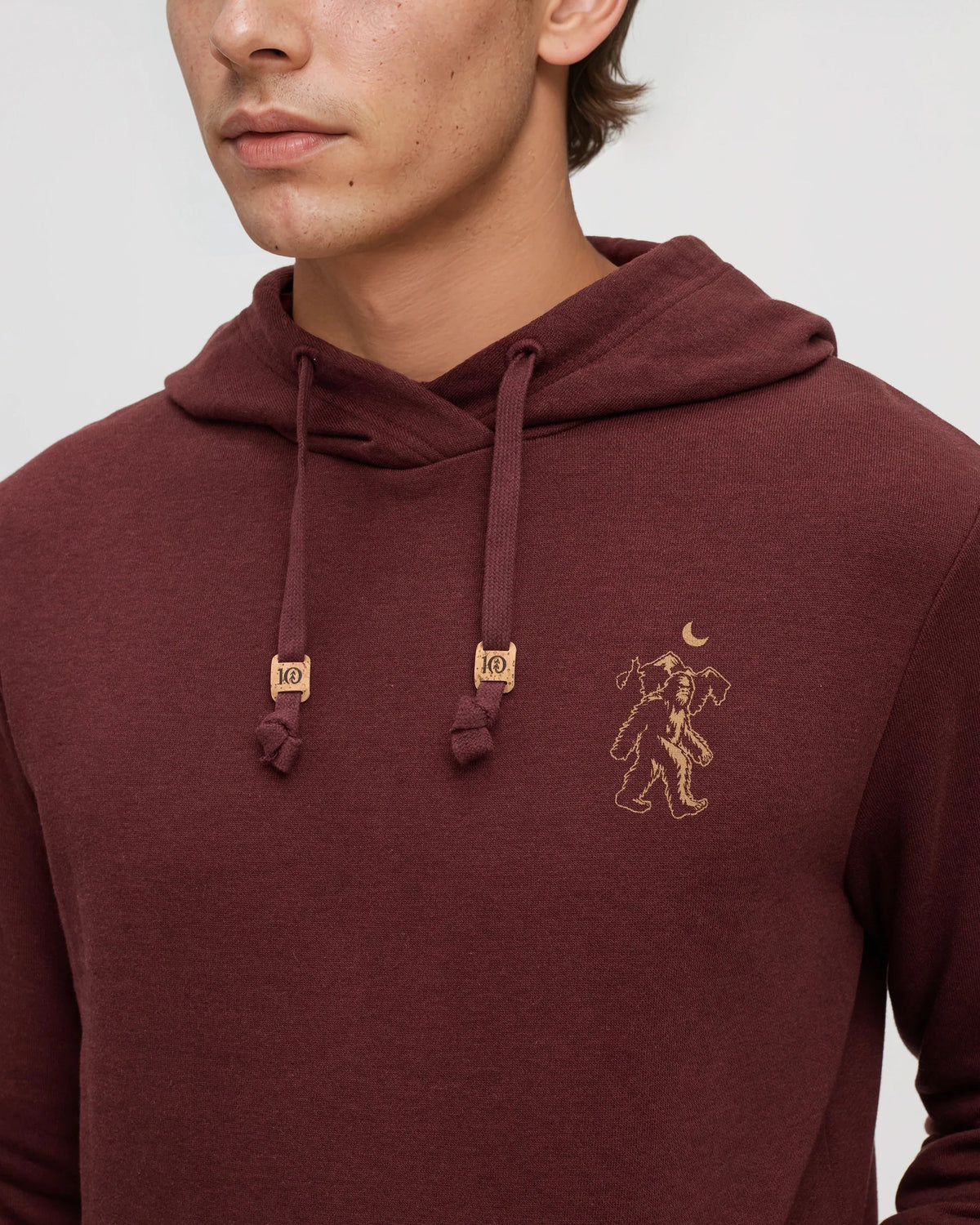 Sasquatch Sighting Hoodie