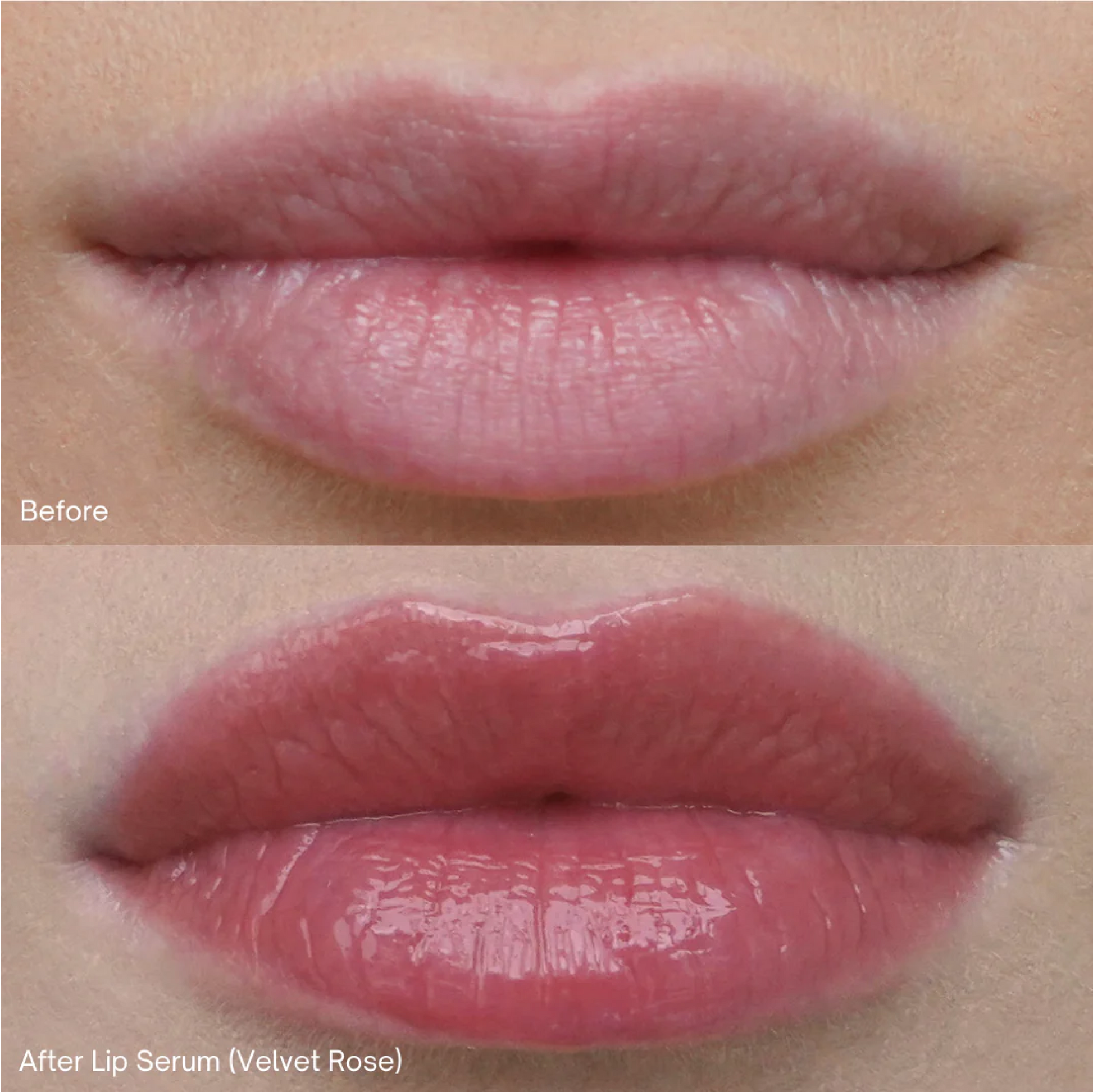 Revive7 Lip Serum Velvet Rose