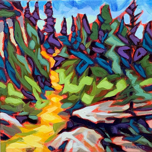 Rocky Mtn Trail