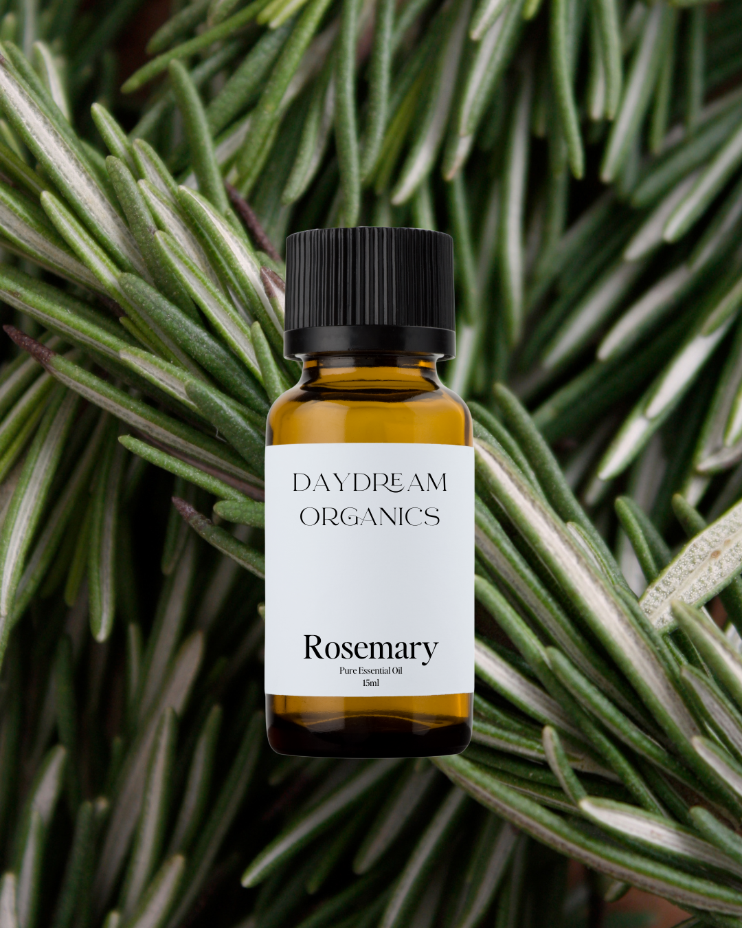 Rosemary Essential Oil