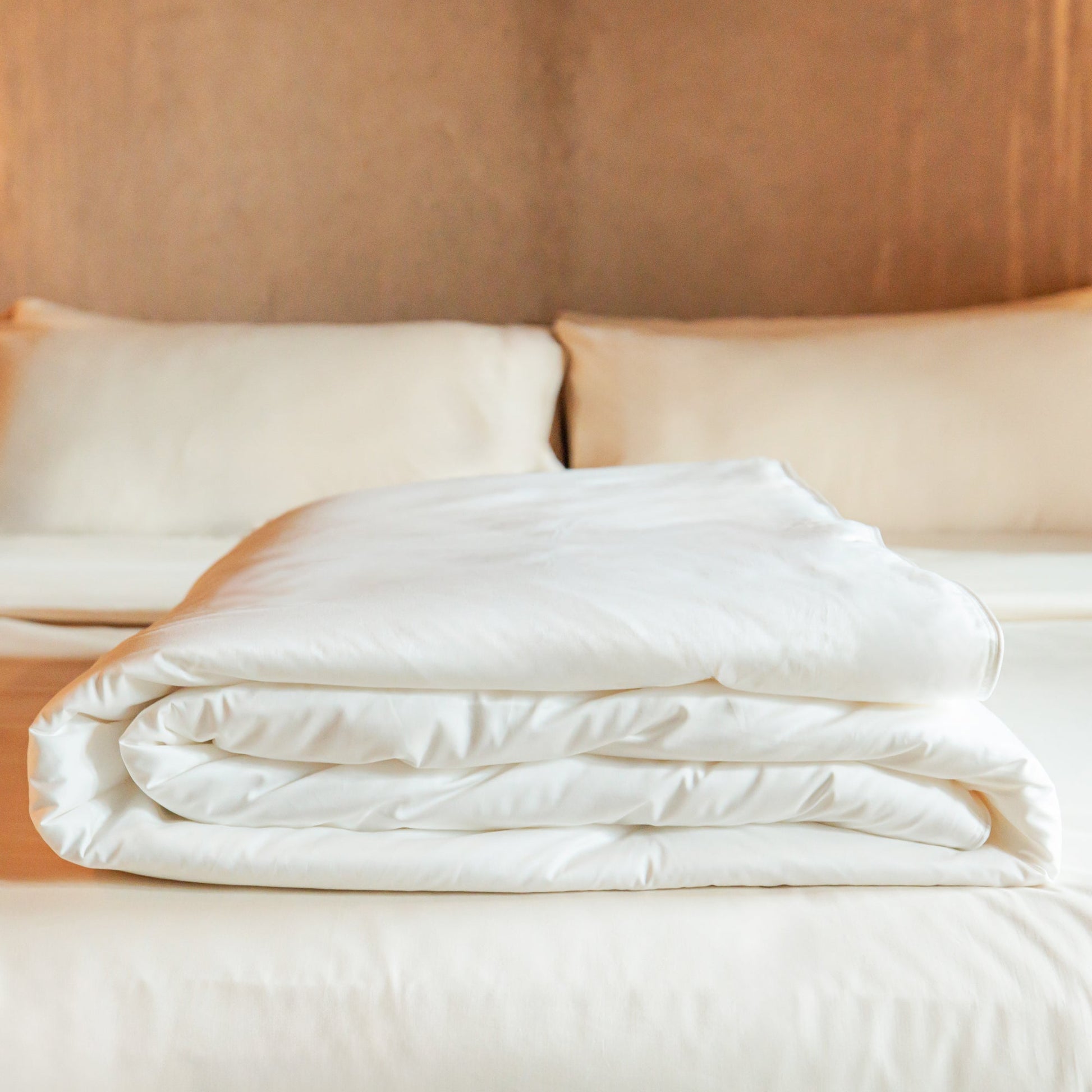 Garniture de couette en soie de mûrier avec enveloppe en coton luxueux