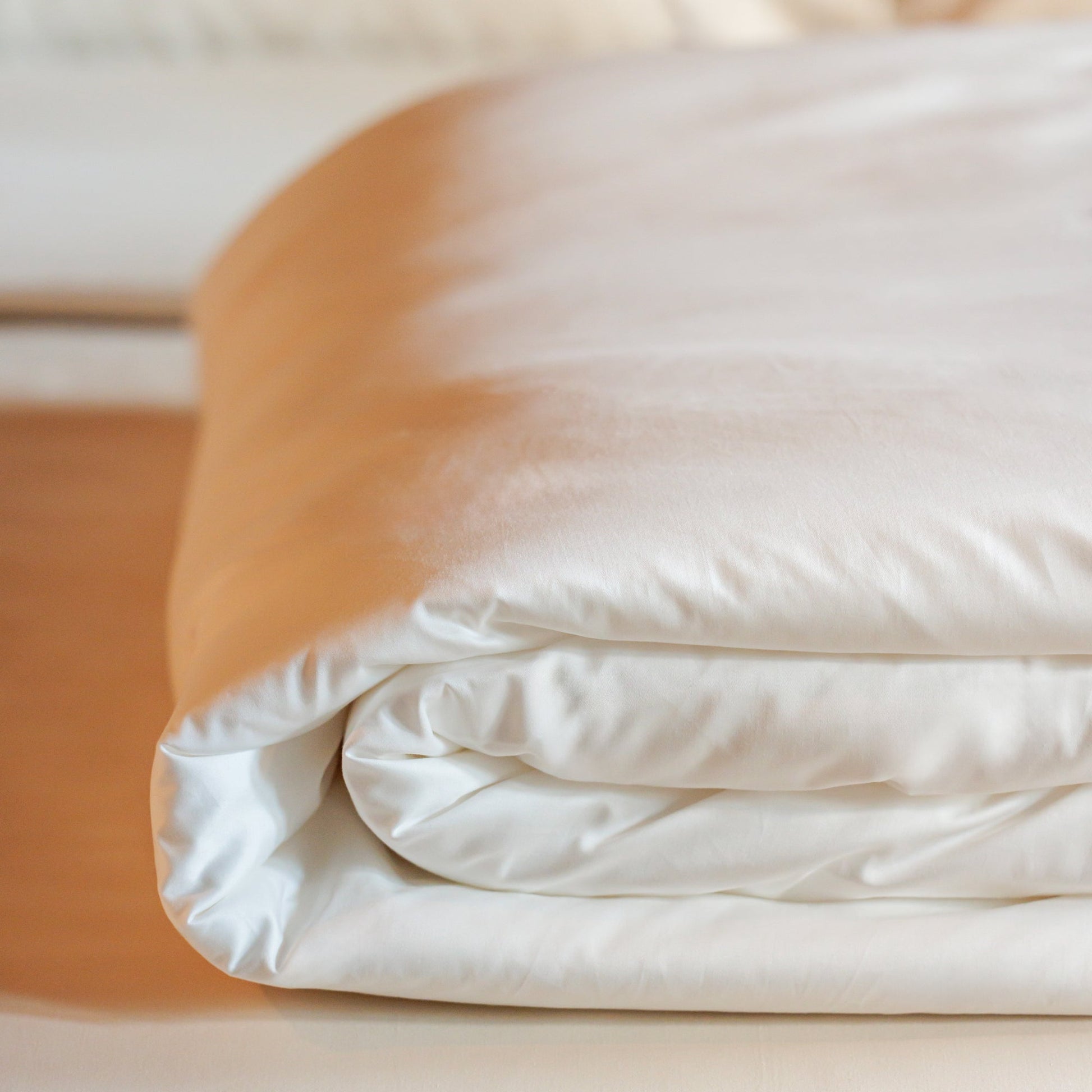 Garniture de couette en soie de mûrier avec enveloppe en coton luxueux