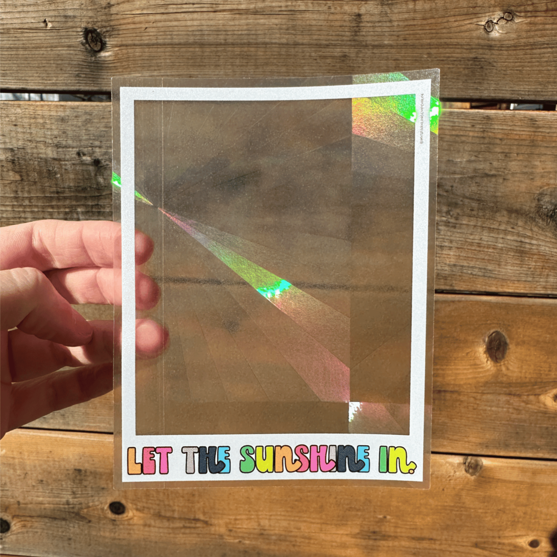 Snapshot Suncatcher Sticker