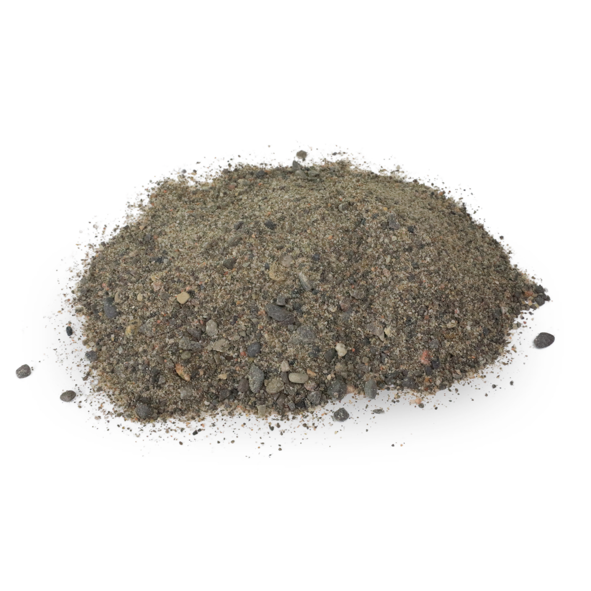 Mossify Terrarium Kit