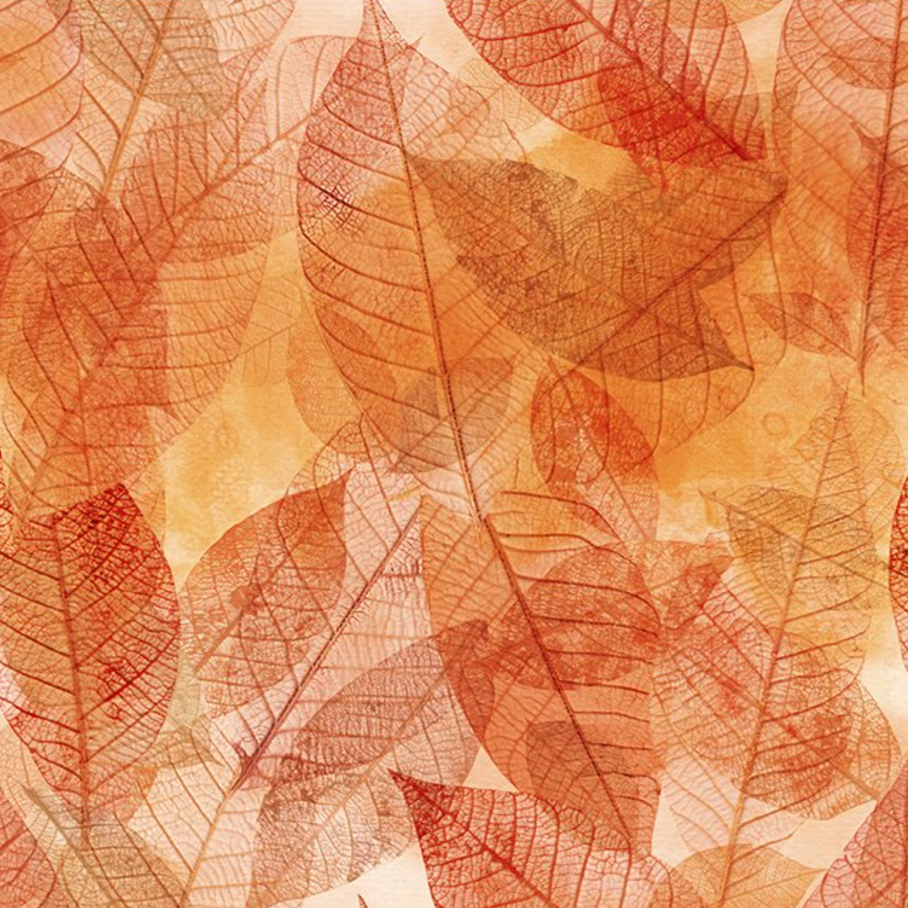 Jason Yenter - Reflets d'automne II - Feuilles - 30RA-1