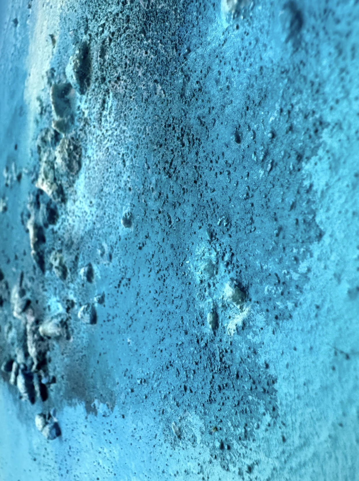 Voici les vagues 