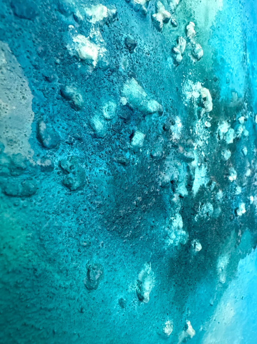 Voici les vagues 