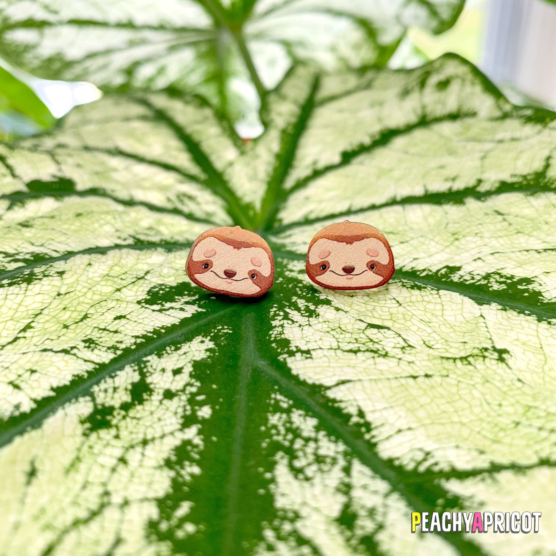 Boucles d'oreilles paresseux